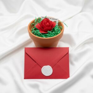 Kit cu trandafir plantabil si felicitare