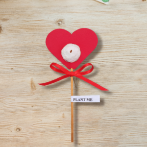 Acadea plantabila inima