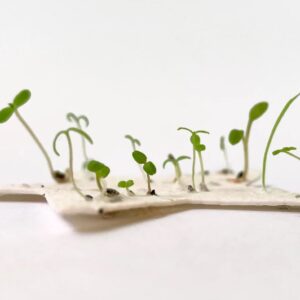 Semn de carte „Steaua Viitorului”