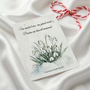 Felicitare Un dascal minunat