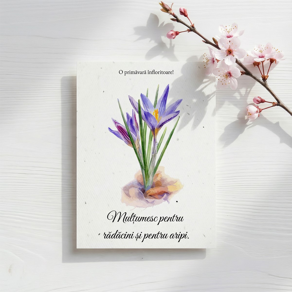 Felicitare plantabila asezata pe o suprafata alba langa crenguta inflorita de cires