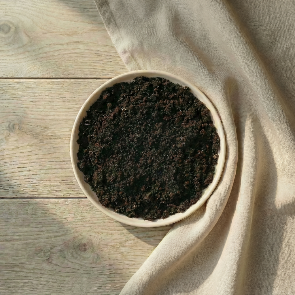 O imagine cu un ghiveci cu sol fertil pregatit pentru a planta hartia plantabila