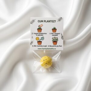 Misiunea Ziua Pământului