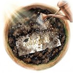 ilustratie_pagina_absolvire_3